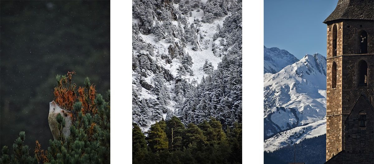 Bosque nevado, detalles de la naturaleza y campanario de una iglesia en el Valle de Arán